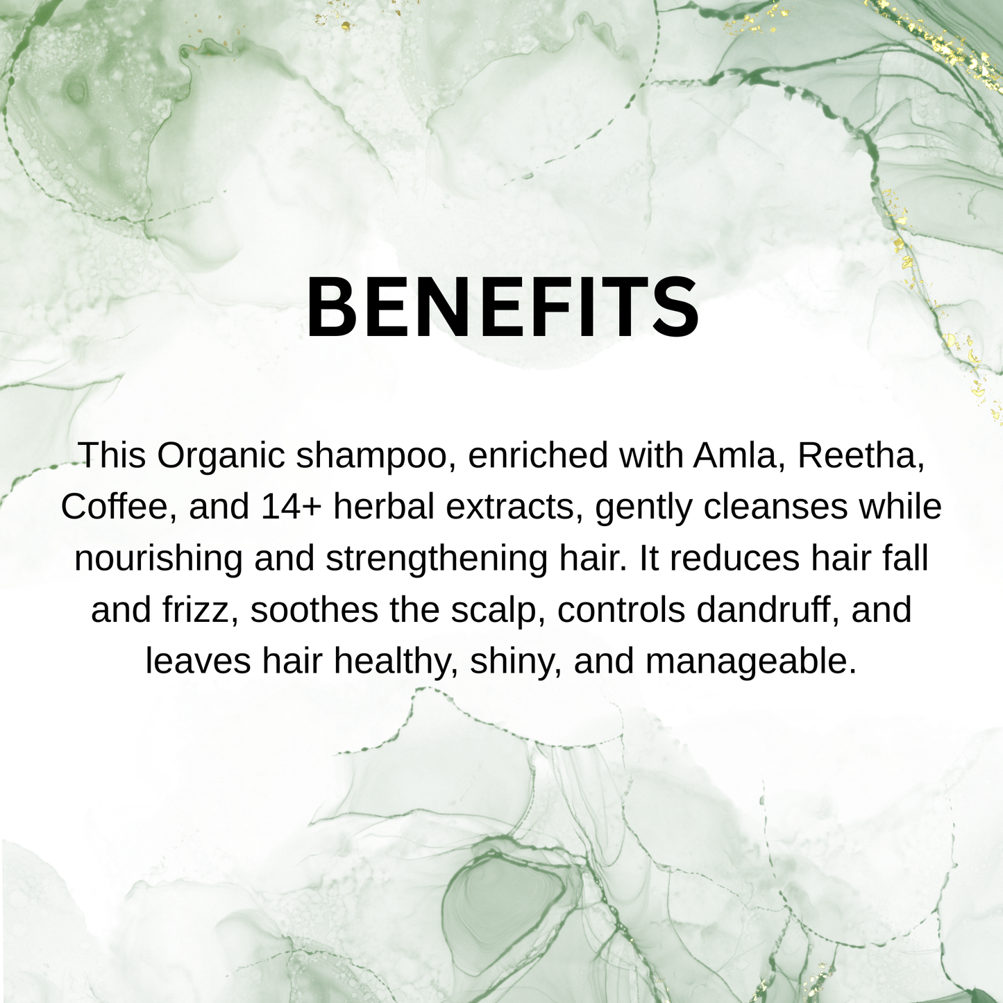 Organic Shampoo